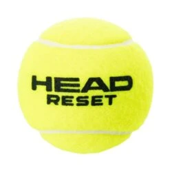 Head Tennisbälle Reset (drucklos) Gelb Dose 4er -Head || Wilson || YONEX Verkaufsgeschäft Head Tennisbaelle Reset gelb Detail 575034 801x801 1
