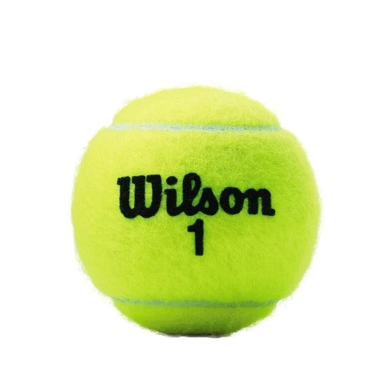 Wilson Tennisbälle Championship Dose 3er 2 Wilson Tennisbälle Championship Dose 3er – Bild 2