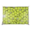 Yonex Tennisbälle Training (drucklos) Gelb 60er Im Polybag